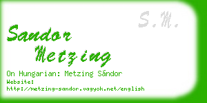 sandor metzing business card